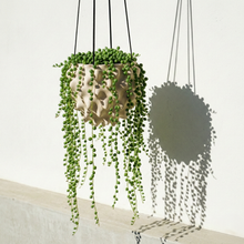 Load image into Gallery viewer, Wholesale Partner: Rosebud HomeGoods - The Creature Orb Hanging Planter Pot With Drainage