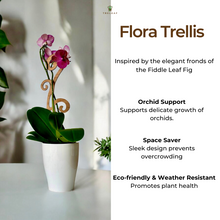 Load image into Gallery viewer, Wholesale Partner: Treleaf - Flora - Plant trellis designed for Orchids