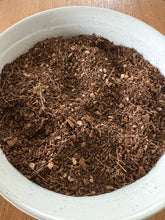 Load image into Gallery viewer, Seedling & Propagation Mix
