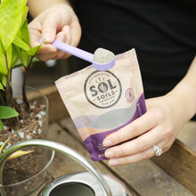 Load image into Gallery viewer, powder spoon