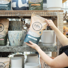 Load image into Gallery viewer, Pumice