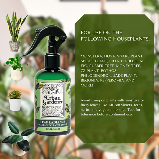 Urban Gardener - Leaf Radiance 32oz Refill Bottle