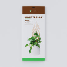 Load image into Gallery viewer, Wholesale Partner: Treleaf - Monstrella - Plant trellis inspired by the Monstera Leaf