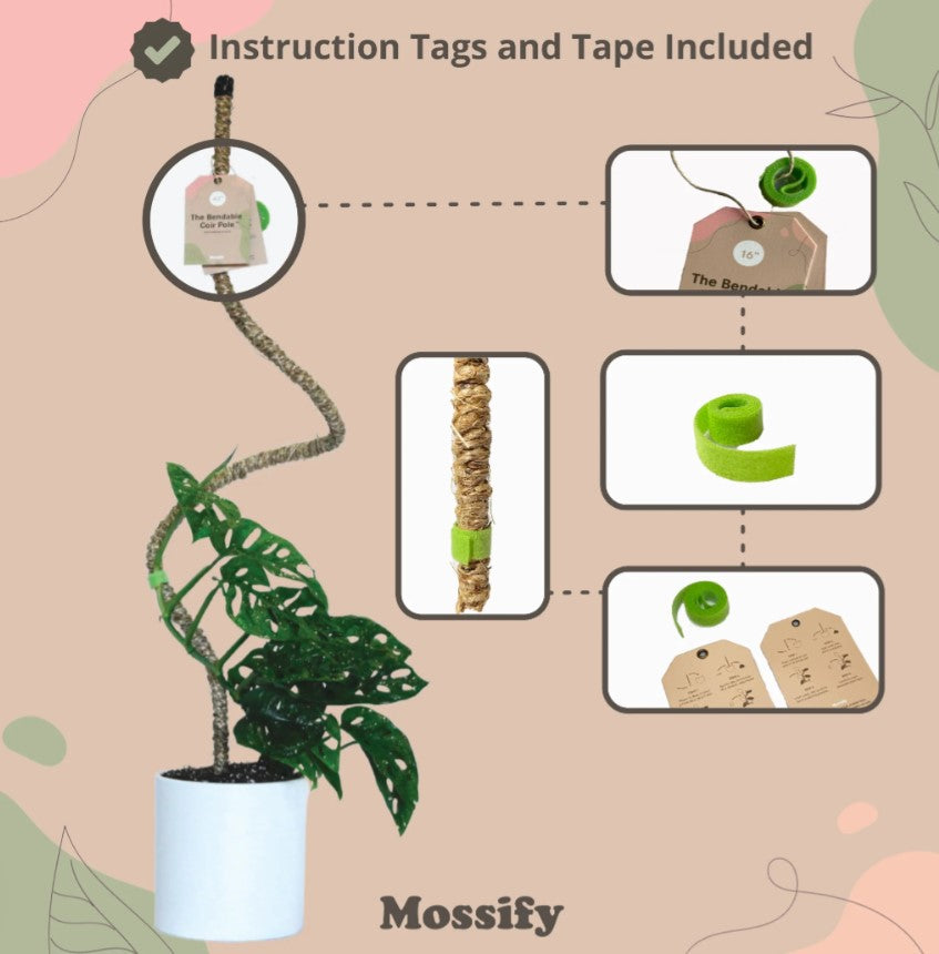 mossify bendable moss pole Wholesale Partner: Mossify