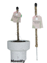 Load image into Gallery viewer, bendable plant pole