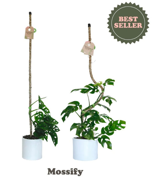 coir pole
