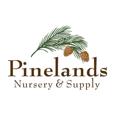 pinelands