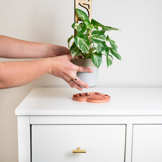 Wholesale Partner: Treleaf - Tera Sausr - Leaf-shaped Pot Saucer - Drip tray for houseplants - Humidity tray