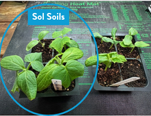 Load image into Gallery viewer, Seedling & Propagation Mix