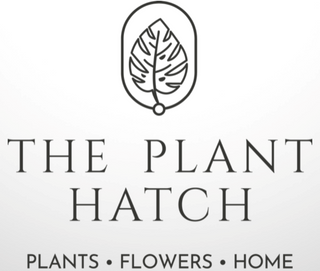 the plant hatch