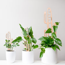 Load image into Gallery viewer, Wholesale Partner: Treleaf - Cactrella - Plant trellis inspired by the Barrel Cactus