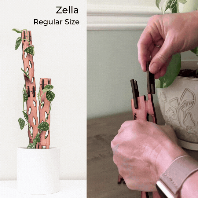 Wholesale Partner: Treleaf - Zella - Wooden Extendable Plant
