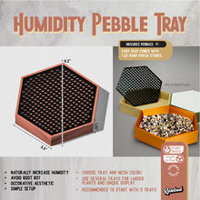 Load image into Gallery viewer, Wholesale Partner: Rosebud HomeGoods - Water Humidity Tray for Houseplants (Includes Pebbles)