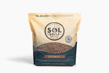 Load image into Gallery viewer, LECA Balls