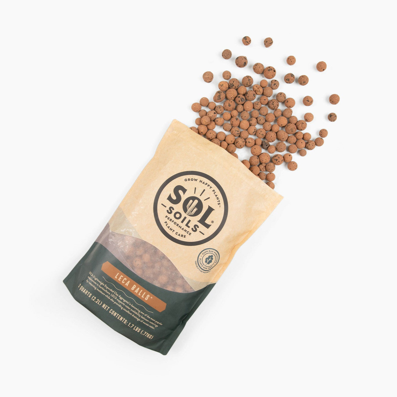 swiss cheese plant in leca LECA Balls - Lightweight Expanded Clay Aggregate