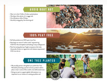 Load image into Gallery viewer, sol soil 100% peat free