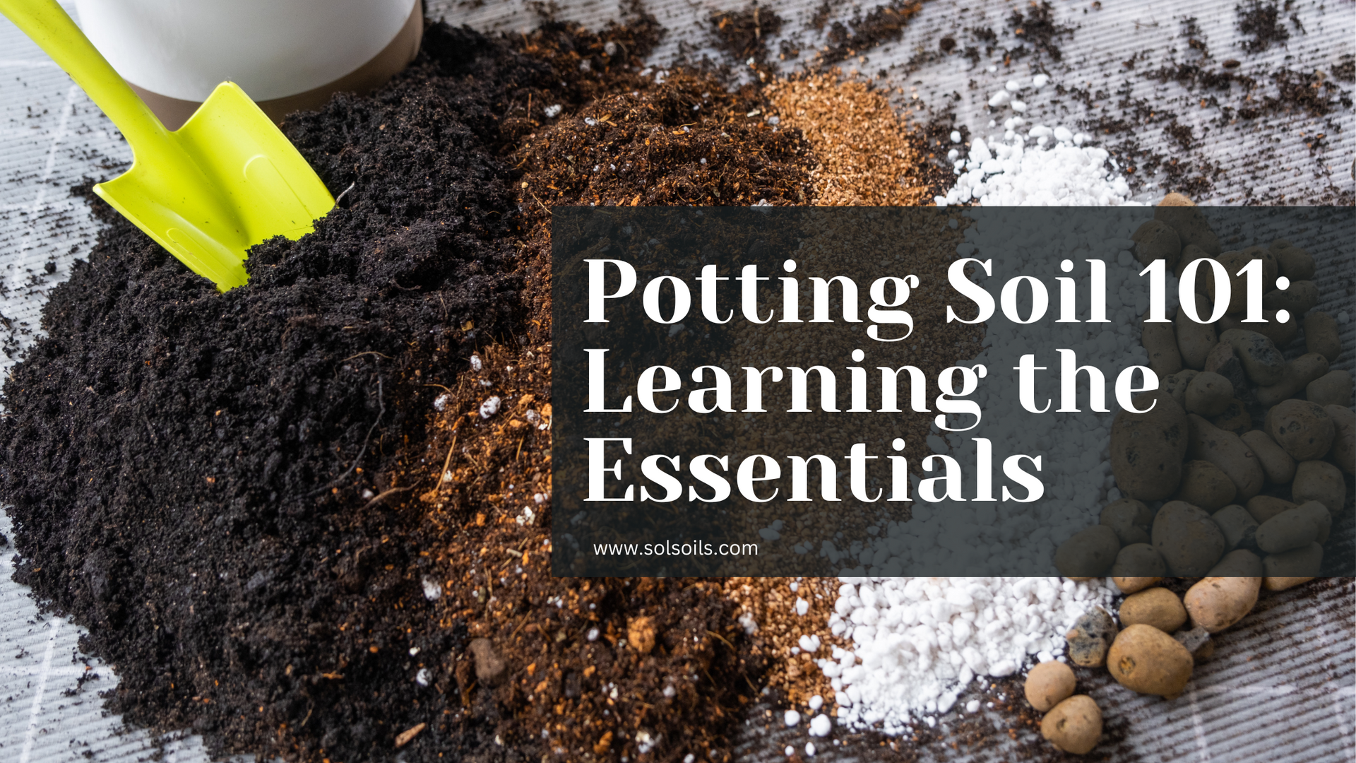 Potting Soil for Healthy Indoor Plant Growth | Sol Soils
