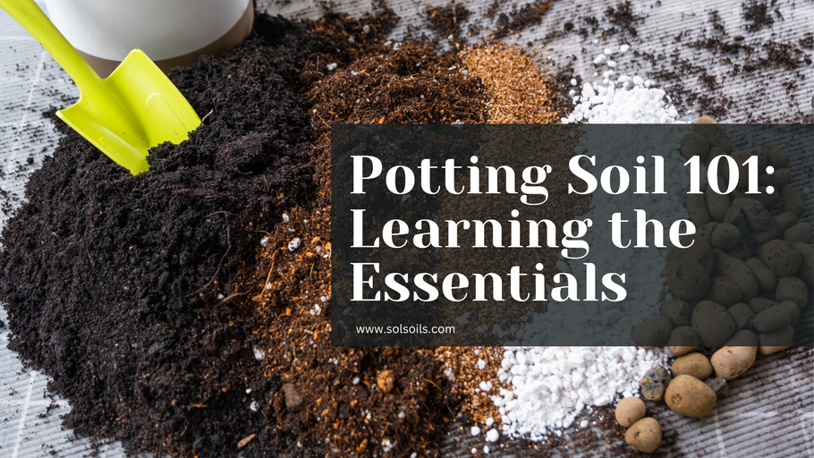 Potting Soil 101: The Essentials for Healthy Plant Growth