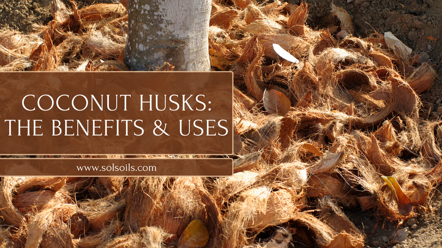 Coconut Husk: Exploring the Benefits of Using Coconut Husks for Your Plants