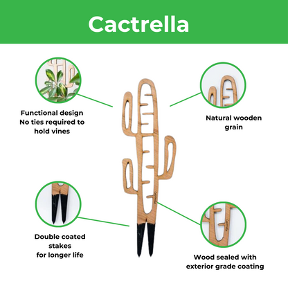 Wholesale Partner: Treleaf - Cactrella - Plant trellis inspired by the Barrel Cactus