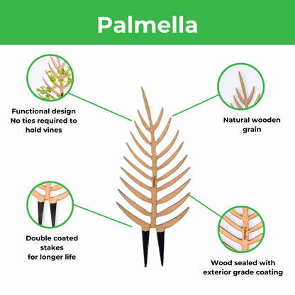 Wholesale Partner: Treleaf - Palmella - Plant trellis inspired by the Palm Leaf