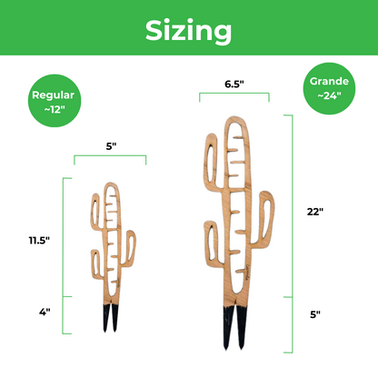 Wholesale Partner: Treleaf - Cactrella - Plant trellis inspired by the Barrel Cactus