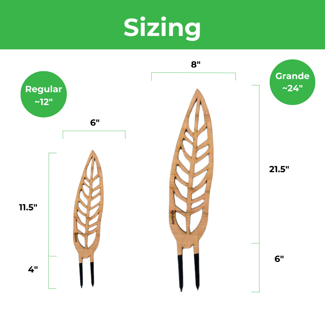Wholesale Partner: Treleaf - Anthrulla - Plant trellis inspired by the Queen Anthurium
