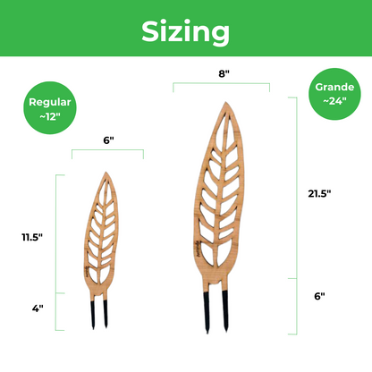 Wholesale Partner: Treleaf - Anthrulla - Plant trellis inspired by the Queen Anthurium