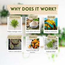 Load image into Gallery viewer, Wholesale Partner - Urban Gardener - Super Growth Elixir - Total Plant Health Spray
