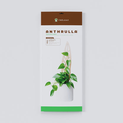 Wholesale Partner: Treleaf - Anthrulla - Plant trellis inspired by the Queen Anthurium