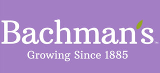 bachman's 