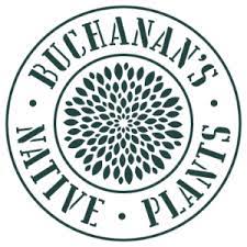 buchanans native plants