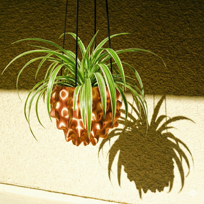 Wholesale Partner: Rosebud HomeGoods - The Creature Orb Hanging Planter Pot With Drainage