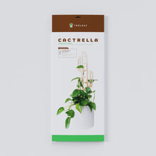 Load image into Gallery viewer, Wholesale Partner: Treleaf - Cactrella - Plant trellis inspired by the Barrel Cactus
