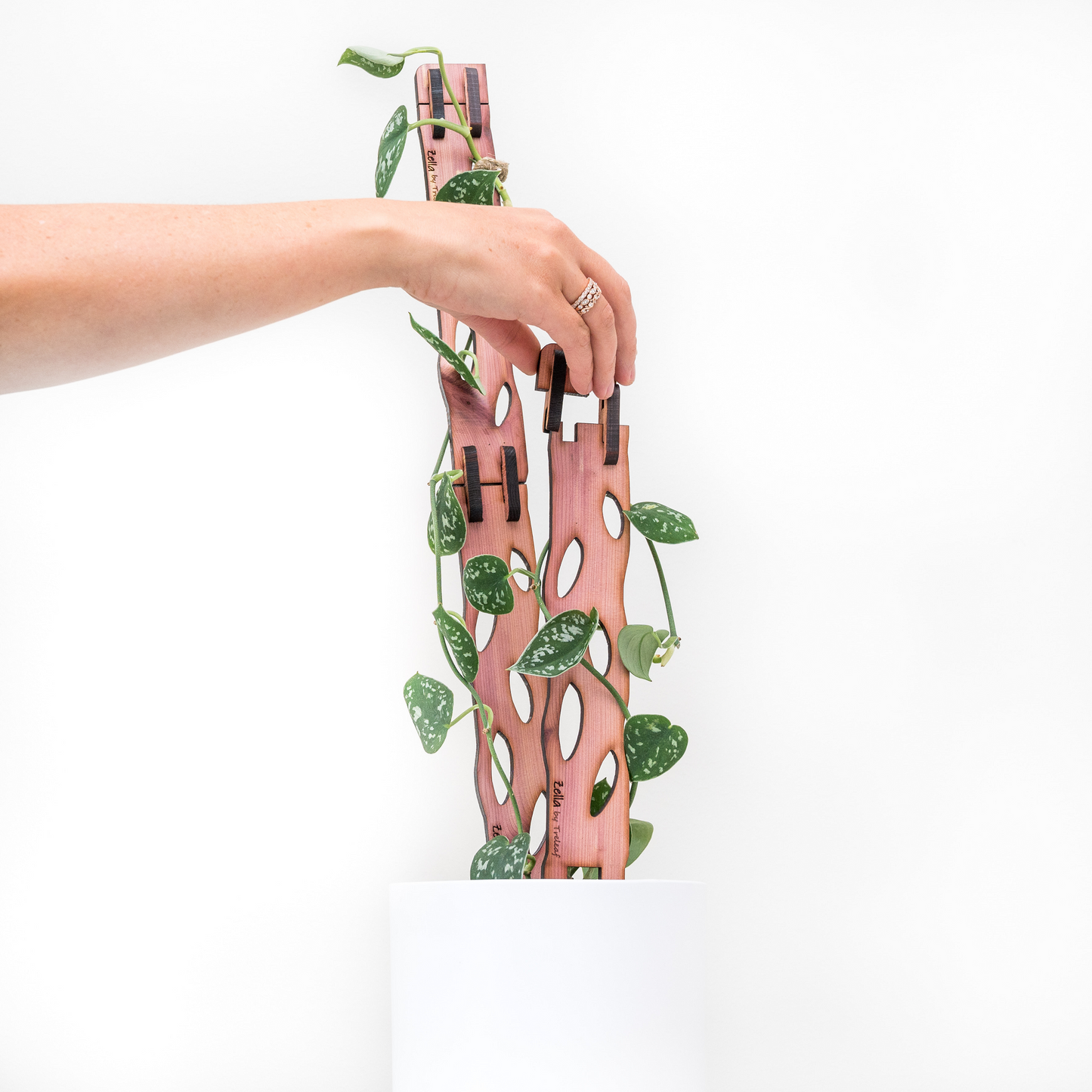 Wholesale Partner: Treleaf - Zella - Wooden Extendable Plant Support