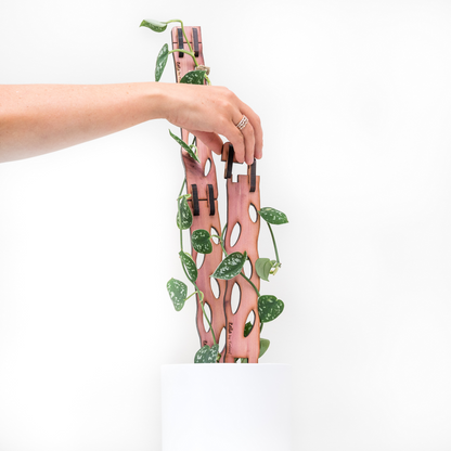 Wholesale Partner: Treleaf - Zella - Wooden Extendable Plant Support