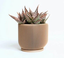 Load image into Gallery viewer, Boho IONIC Planters in Beige or Black by Woodland Pulse
