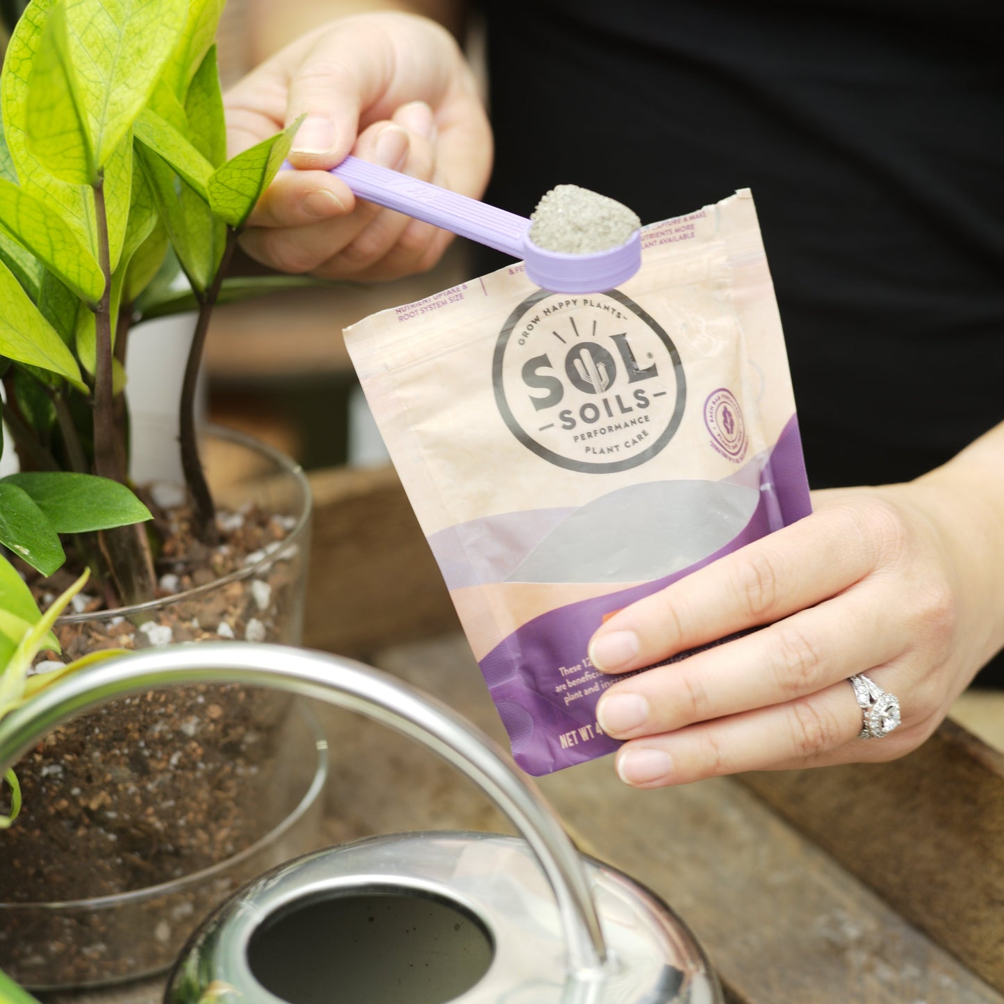 soil biotics