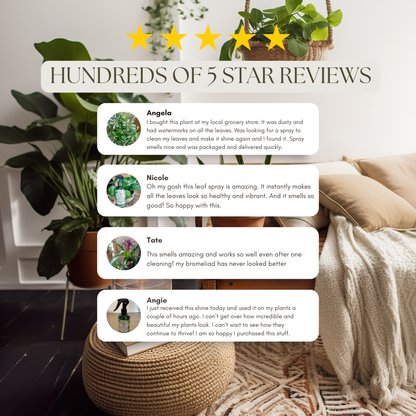 Wholesale Partner: Urban Gardener - Leaf Radiance - Cleaner, Conditioner, Shine