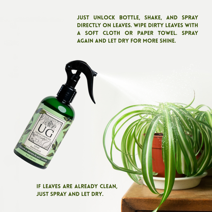 Wholesale Partner: Urban Gardener - Leaf Radiance - Cleaner, Conditioner, Shine