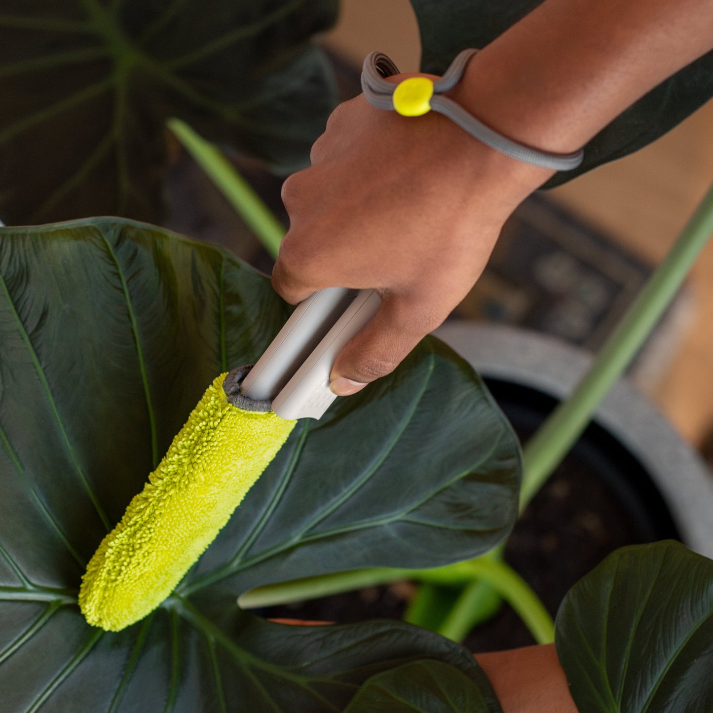Wholesale Partner: Goha - Leaf Sweep™ Starter Kit