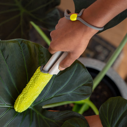 Wholesale Partner: Goha - Leaf Sweep™ Starter Kit