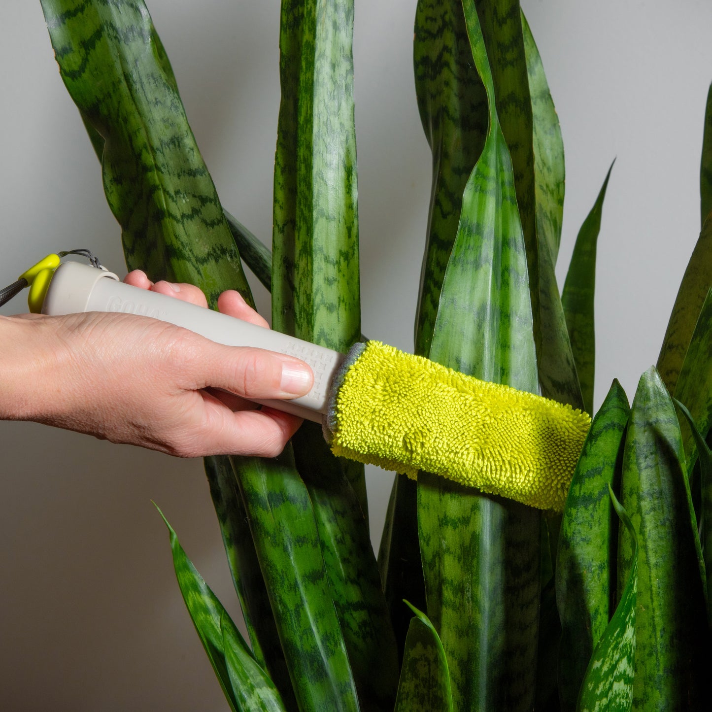 Wholesale Partner: Goha - Leaf Sweep™ Starter Kit