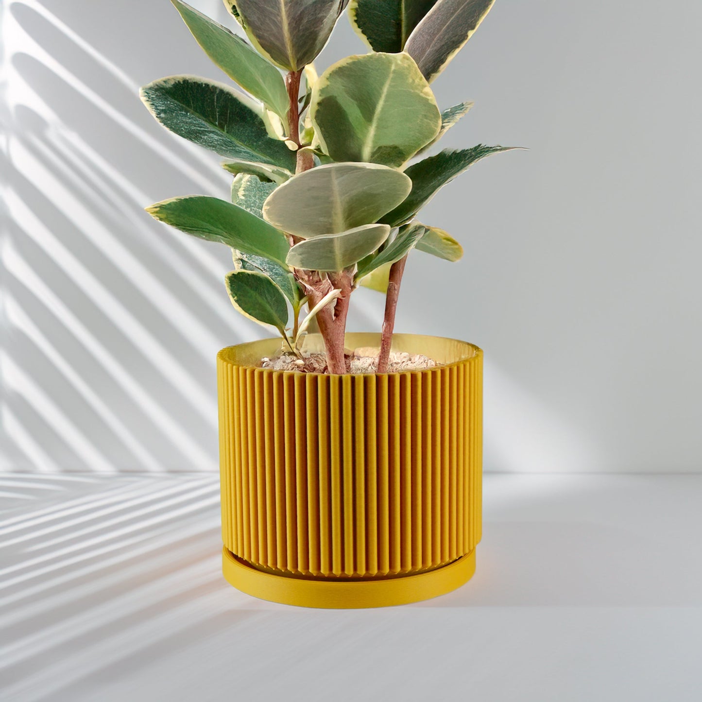 Wholesale Partner: Rosebud HomeGoods - Mid-Century Ribbed Planter