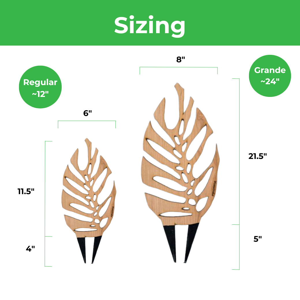 Wholesale Partner: Treleaf - Monstrella - Plant trellis inspired by the Monstera Leaf