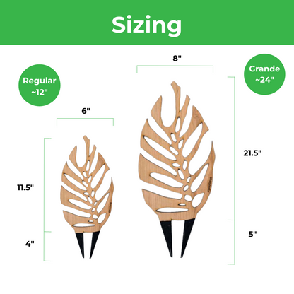 Wholesale Partner: Treleaf - Monstrella - Plant trellis inspired by the Monstera Leaf