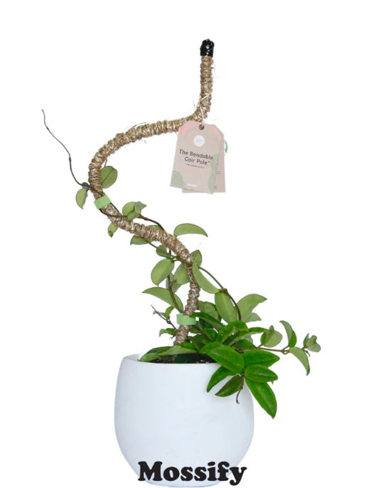 bendable coir pole
