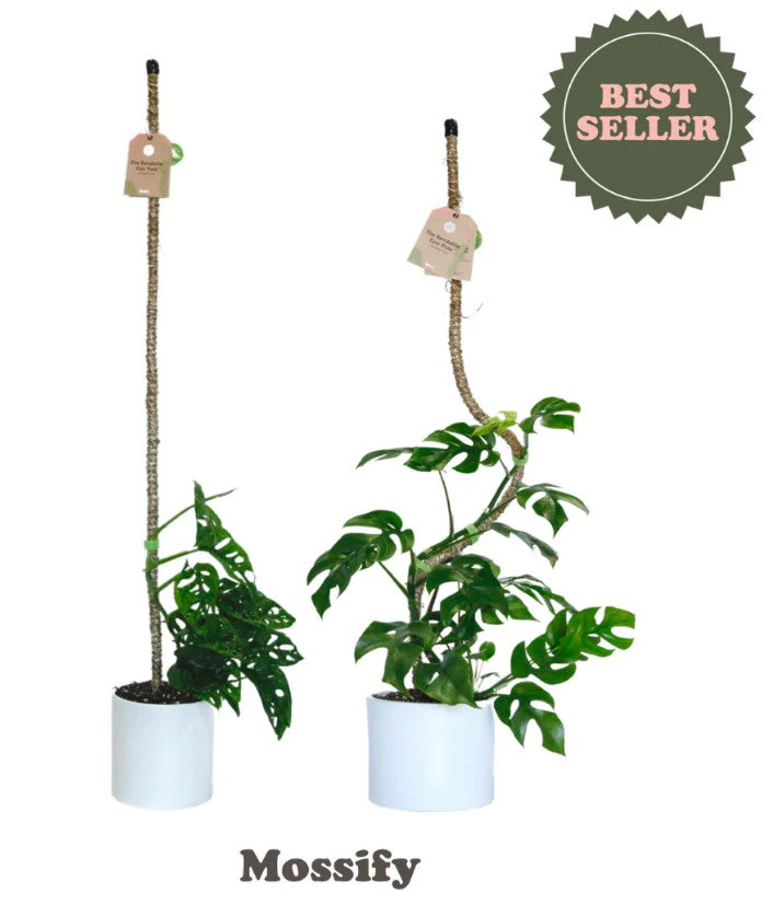 coir pole