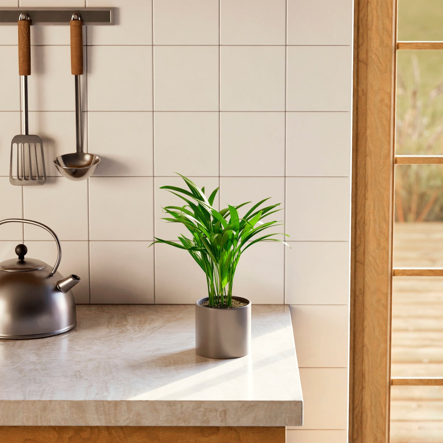 Lively Root - Areca Palm Indoor Tree
