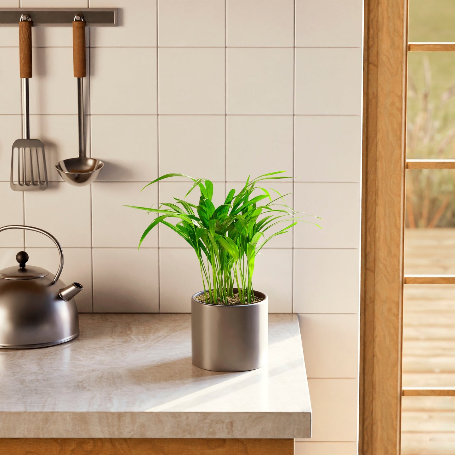 Lively Root - Areca Palm Indoor Tree